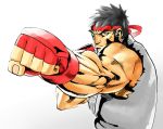  capcom punch ryu serious street_fighter 