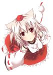  :o animal_ears detached_sleeves expressionless foreshortening from_above hat highres inubashiri_momiji looking_up red_eyes short_hair silver_hair solo stare tokin_hat touhou tyata-maru wolf_ears 