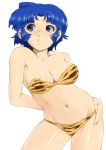  blue_eyes blue_hair kusuha_mizuha short_hair shu-z super_robot_wars swimsuit tiger_print 