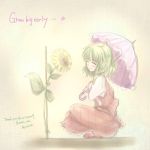  blush engrish flower kazami_yuuka parasol ranguage skirt skirt_set smile sunflower touhou umbrella youkai 