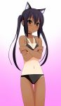  animal_ears bare_shoulders bikini black_hair blush breasts brown_eyes cat_ears choker covering covering_breasts highres k-on! kenken long_hair nakano_azusa solo swimsuit tan tanline tanlines twintails 