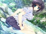  aqua_eyes artist_request barefoot black_hair character_request dutch_angle feet game_cg hoshizora_e_kakaru_hashi hoshizora_e_kakaru_hashi_aa naturalton nature outdoors pantylines partially_submerged short_hair sitting solo stream sunbeam sunlight wading wariza water wet wet_clothes yocchan 
