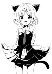  animal_ears cat_ears cat_tail face fang highres looking_at_viewer monochrome necktie open_mouth pleated_skirt pokachu sanya_v_litvyak short_hair simple_background skirt skirt_lift smile solo standing strike_witches tail 