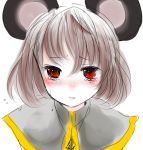  animal_ears blush capelet face grey_hair han_(jackpot) mouse_ears nazrin open_mouth red_eyes solo tears touhou 