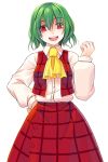  :d ascot clenched_hand crote fist green_hair hand_on_hip highres hips kazami_yuuka open_mouth plaid plaid_skirt plaid_vest red_eyes shaded_face shirt short_hair skirt smile solo surprised touhou transparent_background yandere youkai 