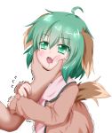 ahoge animal_ears arm_grab brown_dress cheek_squash chin_grab dress drooling fang green_eyes green_hair hand_on_another's_face kasodani_kyouko oden_(artist) open_mouth saliva short_hair solo tail touhou trembling 