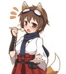  blush breasts brown_eyes brown_hair cake food goggles goggles_on_head japanese_clothes jpeg_artifacts katou_keiko null_(nyanpyoun) scarf short_hair solo strike_witches surprised tail thigh-highs thighhighs 
