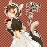  animal_ears blush brown_hair cat_ears checkered checkered_background meiko open_mouth paws short_hair solo tail toyu translated translation_request tsundere vocaloid 