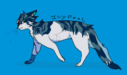  animal animal_focus animification aqua_eyes blue_background cat character_name english_text from_side full_body ivypool looking_at_viewer minamia23 no_humans omen_of_the_stars ribs scar scar_on_face skinny standing striped_fur tail walking warrior_cats whiskers 