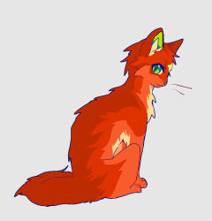  animal animal_focus cat firestar_(warrior_cats) fluffy from_behind full_body green_eyes looking_at_viewer looking_back minamia23 no_humans orange_cat orange_fur simple_background sitting solo star_(symbol) tail warrior_cats whiskers white_background 