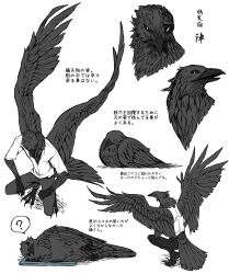  ? barefoot bird_boy bird_tail bird_wings black_feathers black_pants closed_eyes collared_shirt concept_art crown feathered_wings feathers highres lying monochrome on_side original pants sarara_(yoasobi) shirt sleeping spoken_question_mark squatting tail tengu traditional_youkai wings 