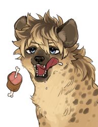 animal animal_focus animalization boned_meat commentary_request food grey_eyes highres hyena licking_lips looking_at_viewer mame_moyashi meat no_humans simple_background tongue tongue_out twisted_wonderland upper_body white_background 