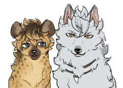  animal animal_focus animalization commentary_request grey_eyes highres hyena jack_howl looking_at_viewer mame_moyashi no_humans ruggie_bucchi simple_background twisted_wonderland upper_body white_background wolf yellow_eyes 