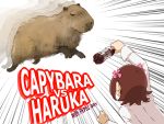  amami_haruka animal battle bottle brown_hair capybara dani-ikapi emphasis_lines fighting hair_ribbon idolmaster kanbaru_suruga pepsi ribbon what 