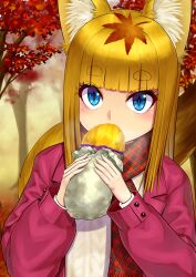  1girl animal_ear_fluff animal_ears autumn_leaves blonde_hair blue_eyes blunt_bangs coat commentary_request eating food highres holding holding_food leaf leaf_on_head light_blush long_sleeves looking_at_viewer morozou open_clothes open_coat original outdoors pink_coat red_scarf roasted_sweet_potato scarf short_eyebrows sidelocks slit_pupils solo sweater sweet_potato tail tree white_sweater 