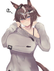 1girl absurdres animal_ears baggy_clothes blue_eyes blush breasts brown_hair chalos commentary_request dress grey_dress hair_ornament hair_over_one_eye highres horse_ears horse_girl horse_tail huge_breasts long_sleeves multicolored_hair official_alternate_costume rulership_(casual)_(umamusume) rulership_(umamusume) short_hair simple_background single_bare_shoulder solo streaked_hair tail torn_clothes torn_dress umamusume upper_body white_background 