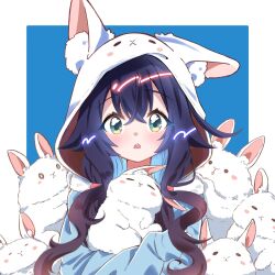  1girl :o alternate_costume alternate_hairstyle animal animal_ear_fluff animal_ear_hood animal_ears aqua_eyes blue_background blue_hair blue_sweater blush blush_stickers border commentary crossed_bangs curly_hair double-parted_bangs hair_between_eyes hair_flaps highres holding holding_animal hood hood_up kimi_no_koto_ga_dai_dai_dai_dai_daisuki_na_100-nin_no_kanojo long_sleeves looking_at_viewer low_twintails nanraka outside_border pink_scrunchie rabbit rabbit_ears raised_eyebrows scrunchie sidelocks sleeves_past_wrists solo straight-on sweater teeth twintails untranslatable_commentary upper_teeth_only white_border white_hood white_rabbit_(animal) wide-eyed yoshimoto_shizuka 