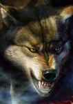  akio_(artist) angry animal brown_fur canine dog fangs snarl solo tongue white_fur wolf yellow_eyes 
