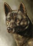  akio_(artist) akio_artist animal brown_eyes brown_fur canine dog emotionless fur realistic solo wolf 