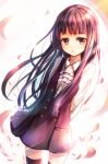  black_legwear brown_eyes dress flat_chest inu_x_boku_ss long_hair petals purple_hair sakura_ani shirakiin_ririchiyo solo thigh-highs thighhighs very_long_hair 