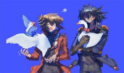  2boys angry animal bad_link belt bird black_shirt blue_background blue_eyes blue_jacket brown_belt brown_eyes brown_gloves brown_hair crossed_arms denim duel_academy_uniform_(yu-gi-oh!_gx) elbow_gloves elbow_pads facial_mark facing_to_the_side fudo_yusei gloves goose highres holding holding_animal jacket jeans looking_at_another male_focus mokopuru multiple_boys one_eye_closed open_clothes open_jacket pants popped_collar shirt shoulder_pads source_request spiky_hair surprised yu-gi-oh! yu-gi-oh!_5d's yu-gi-oh!_gx yuki_judai 