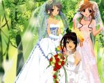  3girls asahina_mikuru bouquet brown_hair cleavage dress gloves jewelry long_hair nagato_yuki short_hair smile strapless suzumiya_haruhi veil wedding_dress white_gloves 