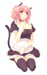  animal_ears blush cat_ears cat_tail collar inu_x_boku_ss kinoko kneeling maid maid_headdress roromiya_karuta seiza sitting solo tail thigh-highs thighhighs zettai_ryouiki 