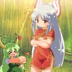  &gt;_&lt; bow breasts china_dress chinese_clothes cleavage clenched_hands ex-keine fist fujiwara_no_mokou green_hair grey_hair hair_bow horns jinnouchi_akira kamishirasawa_keine long_hair multiple_girls nichijou touhou 