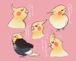  angry animalization bird black_eyes cockatiel dark_persona dual_persona feathers fktumon jacket jolly_roger looking_at_viewer persona persona_4 profile scar skull tatsumi_kanji translation_request yellow_eyes 
