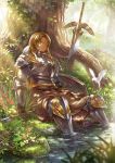  armor bird brown_hair closed_eyes eyes_closed feet_in_water flower food forest fruit full_armor gauntlets grass guchico highres nature original roots shield sleeping soaking_feet solo strawberry sunbeam sunlight sword tree tree_shade vines water weapon 