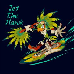  1boy bird_boy blue_eyes character_name eda furry furry_male gloves goggles goggles_on_head jet_the_hawk male_focus shoes sneakers snowboard snowboarding solo sonic_(series) sonic_riders sonic_riders_(series) 