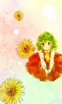  blush flower green_hair kazami_yuuka kinosaki red_eyes skirt skirt_set smile solo sunflower touhou youkai 