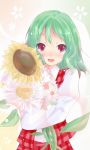  blush flower green_hair kazami_yuuka open_mouth open_vest red_eyes shichinose shirt short_hair skirt skirt_set smile solo sunflower touhou vest youkai 