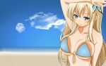  beach bikini bikini_top blonde_hair blue_eyes blush boku_wa_tomodachi_ga_sukunai clouds kashiwazaki_sena long_hair sky swimsuit vector water 