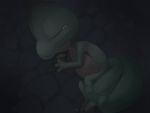  crying dark pokemon tori_otoko treecko 