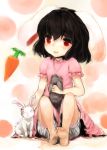  animal_ears animal_hug bad_id barefoot black_hair bloomers bunny bunny_ears carrot feet highres inaba_tewi maccha_cocoa open_mouth petting pink_hair rabbit red_eyes short_hair sitting soles solo toes touhou 
