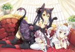  all_fours animal_ears bare_shoulders bicolored_eyes black_gloves black_hair black_legwear blush breasts cat_ears cat_tail catgirl cleavage crown cushion detached_sleeves dress elbow_gloves garter_straps garters gloves hair_ribbon heterochromia jewelry kneeling lace lace-trimmed_thighhighs laces long_hair looking_at_viewer lying mauve multiple_girls necklace on_side original panties parted_lips paw_pose pillow puffy_sleeves red_ribbon ribbon skirt smile tail tail_ribbon thigh-highs thighhighs twintails underwear white_hair white_legwear white_panties yellow_eyes 