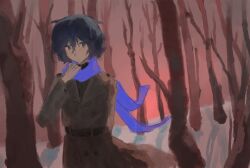 1boy bare_tree belt black_hair blue_scarf brown_belt brown_sweater buttons chinese_commentary closed_mouth coat commentary_request double-breasted forest hair_between_eyes highres holding holding_scarf holding_unworn_clothes jyfuig long_sleeves male_focus nature outdoors red_sky ribbed_sweater saibou_shinkyoku scarf short_hair sky solo sweater tree trench_coat upper_body utsugi_noriyuki violet_eyes 