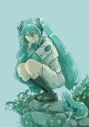  1girl alternate_costume animal aqua_eyes aqua_hair aqua_necktie aqua_trim black_socks brown_shoes bush double-parted_bangs flower frog hair_ornament hairclip hand_on_own_head hatsune_miku highres long_hair long_sleeves looking_at_animal necktie oisiiidoo plaid_clothes pleated_skirt raincoat rock shoes skirt socks solo solo_focus squatting twintails very_long_hair vocaloid white_flower 