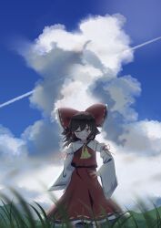  1girl absurdres ascot blue_sky blush bow brown_eyes brown_hair closed_mouth clouds commentary_request cumulonimbus_cloud day detached_sleeves frilled_bow frilled_hair_tubes frills gasubanana grass hair_bow hair_tubes hakurei_reimu highres long_hair looking_at_viewer one_eye_closed outdoors red_bow red_skirt ribbon-trimmed_skirt ribbon-trimmed_sleeves ribbon_trim skirt skirt_set sky smile solo touhou yellow_ascot 