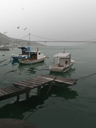  bird boat bride bridge chloride_li commentary_request mountain no_humans ocean original pier reflection reflective_liquid ripples scenery watercraft wooden_bridge 
