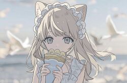  1girl animal_ear_fluff animal_ears bird blonde_hair blunt_bangs blurry blurry_background cat_ears cat_girl crepe day dove food hairband holding holding_food kumiki_hp long_hair original outdoors solo upper_body violet_eyes white_hairband 