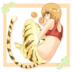  breath_of_fire breath_of_fire_ii food fruit green_eyes holding holding_fruit orange orange_hair rinpoo_chuan sato_toshiya solo tail tiger_ears tiger_tail 