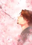  branch brown_hair cherry_blossoms closed_eyes eyes_closed facial_hair flower kaburagi_t_kotetsu male pink siruphial solo stubble tiger_&amp;_bunny tree 