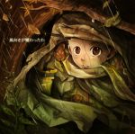  animal black_hair branch brown_eyes dollyly21 gon_freecss highres hunter_x_hunter leaf looking_at_viewer male rain scarf solo translation_request under_covers 