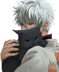  1boy animal black_cat black_shirt cat collared_shirt commentary gimppachi gintama highres holding holding_animal holding_cat male_focus popped_collar red_eyes red_trim rimless_eyewear round_eyewear sakata_gintoki shirt simple_background upper_body white_background 
