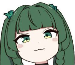 1girl dark_green_hair long_hair qingyi_(zenless_zone_zero) smile zenless_zone_zero