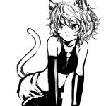  animal_ears bare_shoulders bikini_top copyright_request dog_ears dog_tail elbow_gloves gloves leaning_forward monochrome pas_(paxiti) short_hair shorts solo tail 