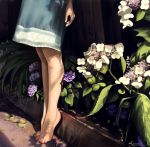  bare_legs barefoot blue_dress copyright_request dress feet flower houfuchao leaf outdoors plant realistic shade shadow short_dress solo tiptoes zi_he_che 