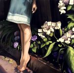  bare_legs barefoot blue_dress copyright_request dress feet flower houfuchao leaf outdoors outside plant realistic shade shadow short_dress solo tiptoes toes zi_he_che 
